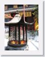 0519bJadeBuddha - 06 * Incense is burned as an offering * Incense is burned as an offering